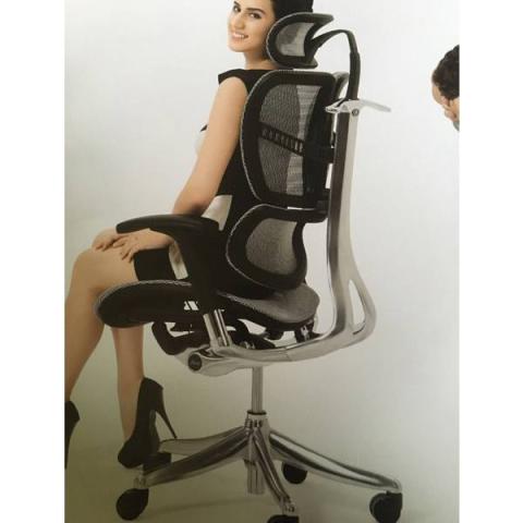 Executive Ergonomic Chair IQ Model